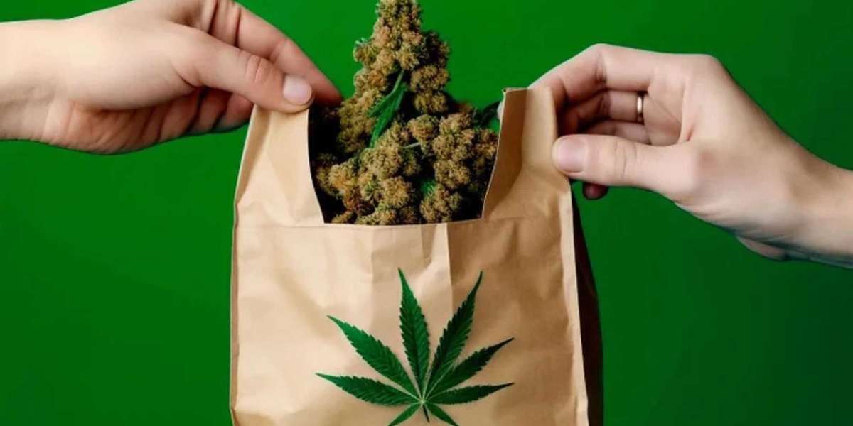 Finding the Best Cannabis Delivery Service Made Easier With These Tips