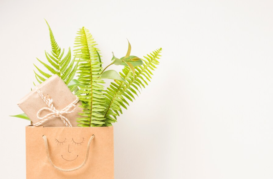 Eco-Friendly Gifts