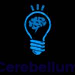 Cerebellum Academy