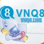 VNQ8 link