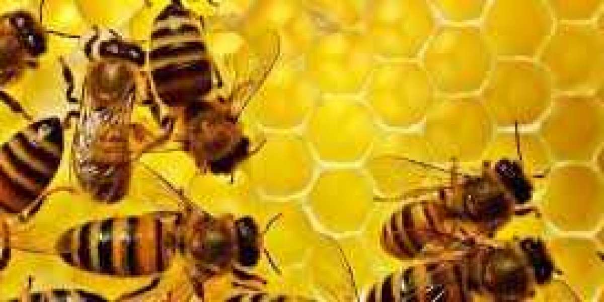 How to Keep Bees at Bay Without Harming Them