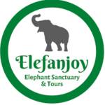 Elefan Joy