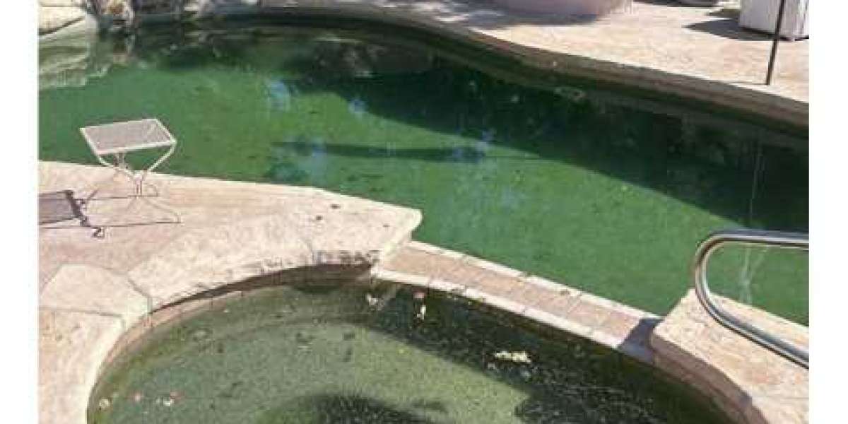 The Complete Guide to Phoenix Pool Services, Maintenance, and Repair