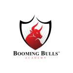 Booming Bulls Academy