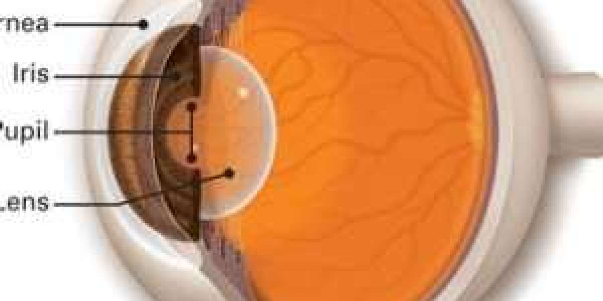 Cornea Transplant in Delhi: Only the Best Cornea Specialists and Oculoplastic Surgeons Should be Trusted