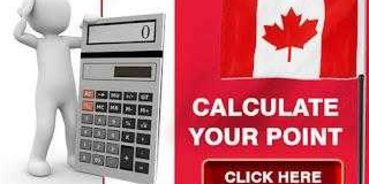 What Is the Role of a Visa Calculator in the Canada PNP Process?