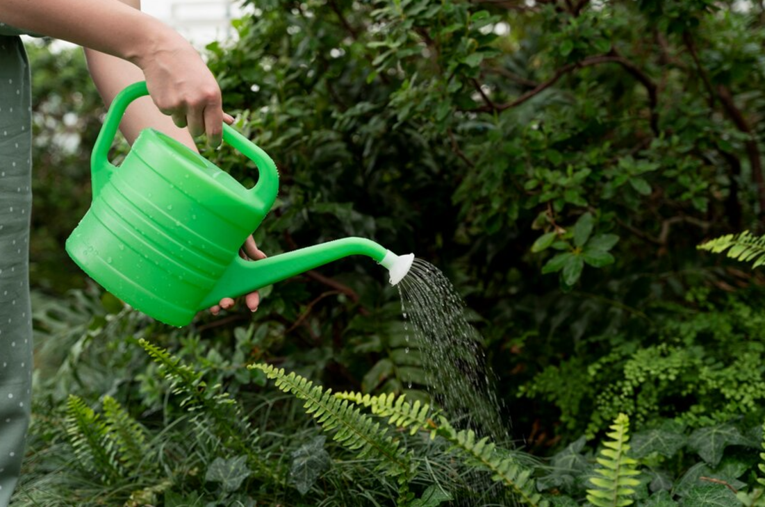 5 Liquid Fertilizers for Plants Every Gardener Should Use for Healthier Plants