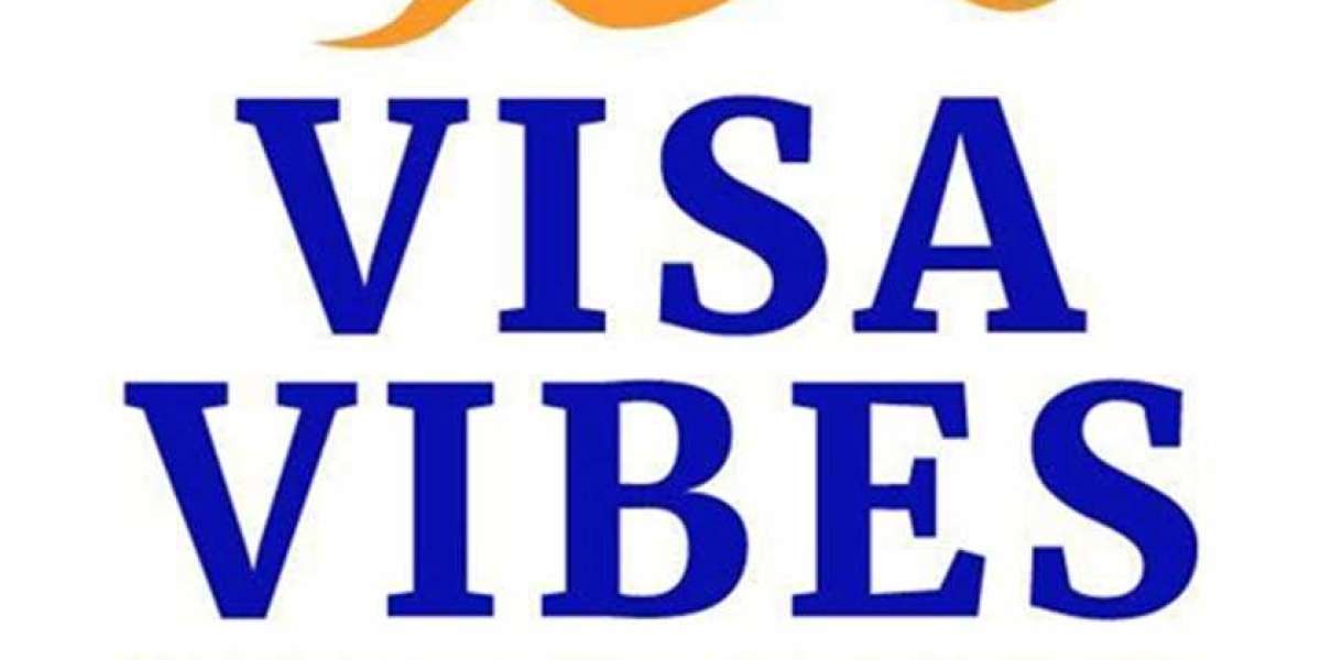 Best Immigration Consultant Sydney - VISA VIBES PTY LTD