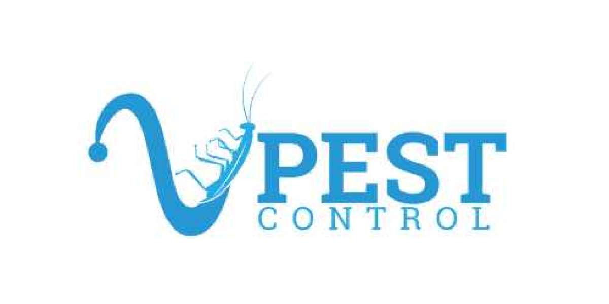 Expert Rodent Control Services in Miami – V Pest Control