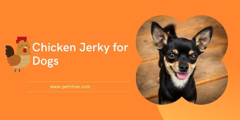 Chicken Jerky For Dogs | Buy Quality Food for Your Pet at Petritive