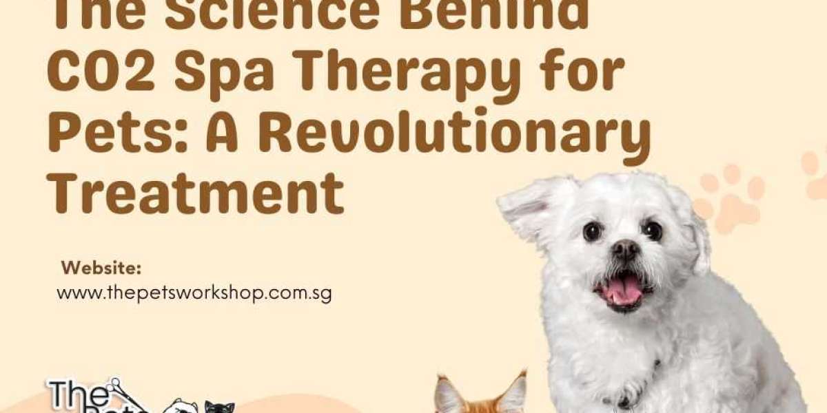 CO2 Spa Therapy: A Soothing Solution for Pet Wellness — Know More