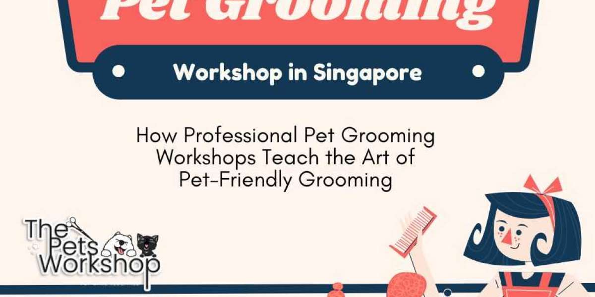 Building Trust: The Key to Successful Pet Grooming — The Pets Workshop