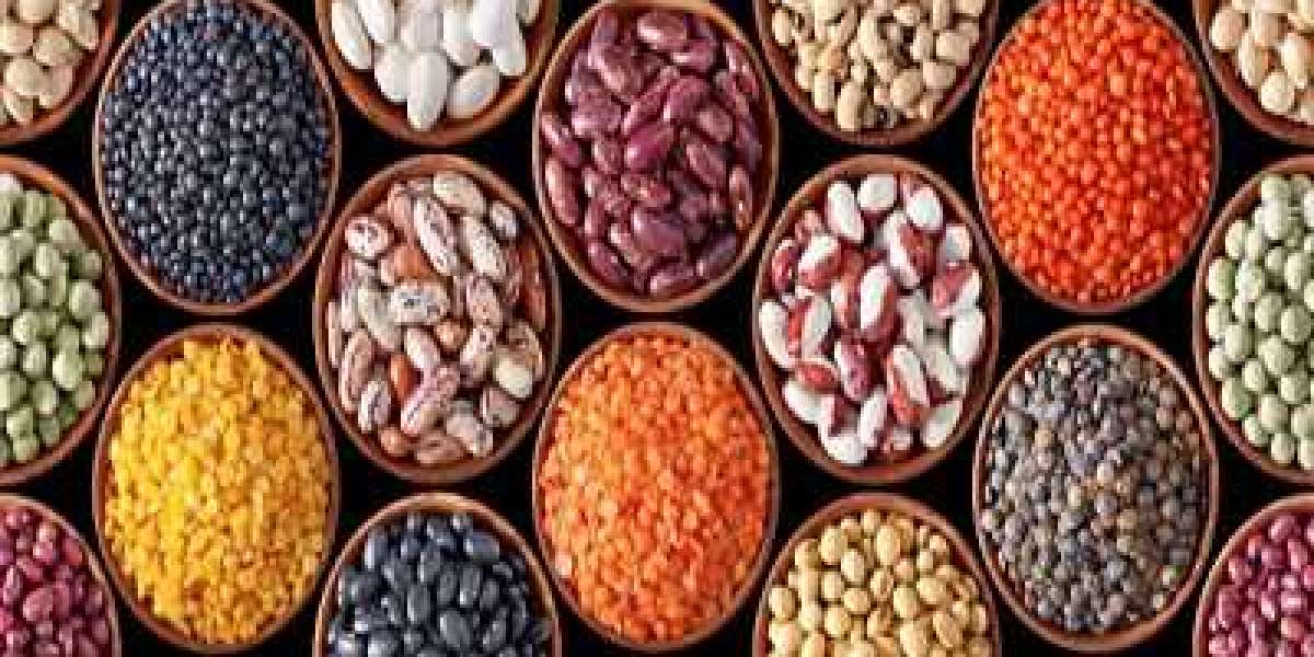 Seeds Market Share and Size | Industry Forecast, 2024-2032