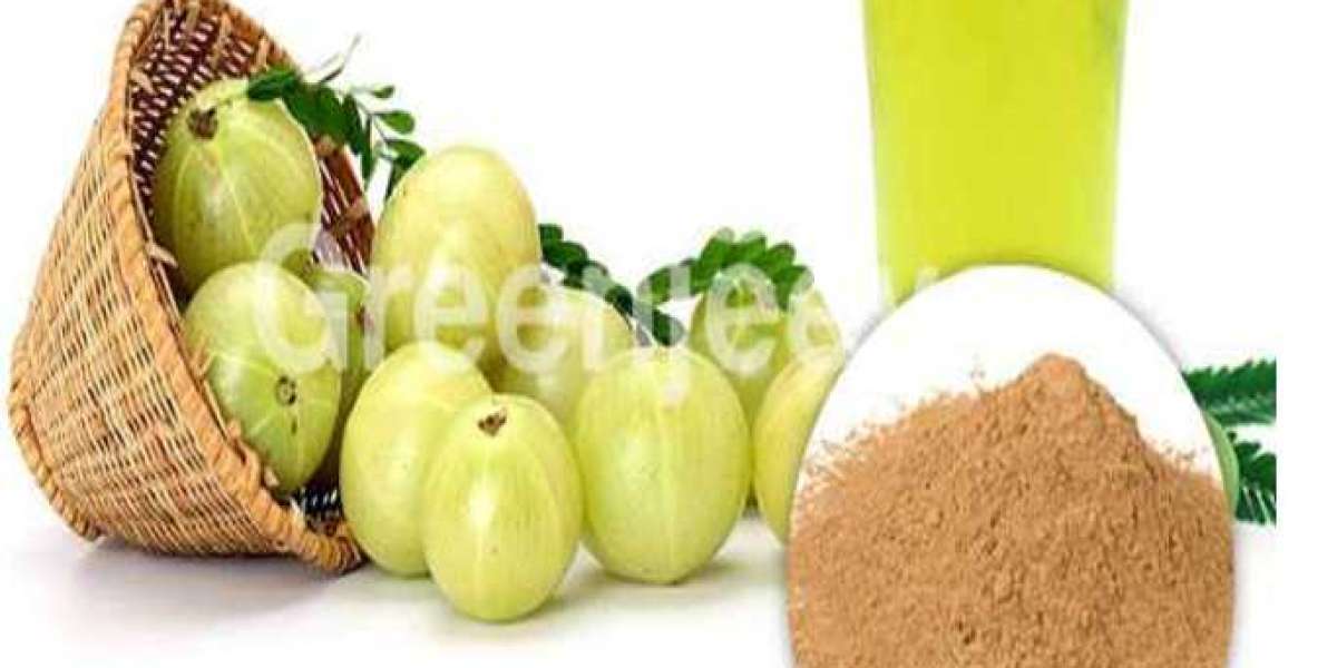 Organic Amla Fruit Powder: A Timeless Ayurvedic Superfood