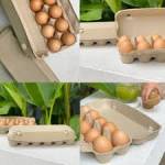 egg cartons in bulk egg cartons in bulk