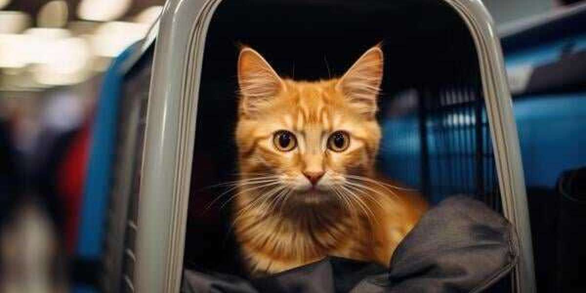 Can I use a pet transport service for short distances?