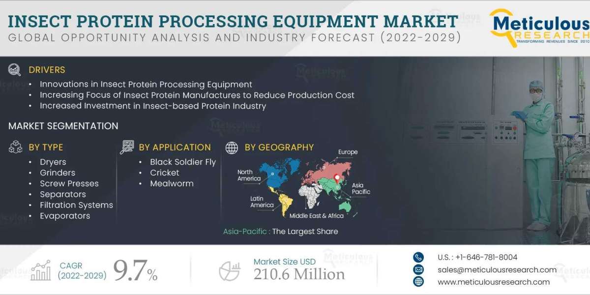 Scaling Insect Protein Production: Market Trends and Regional Insights