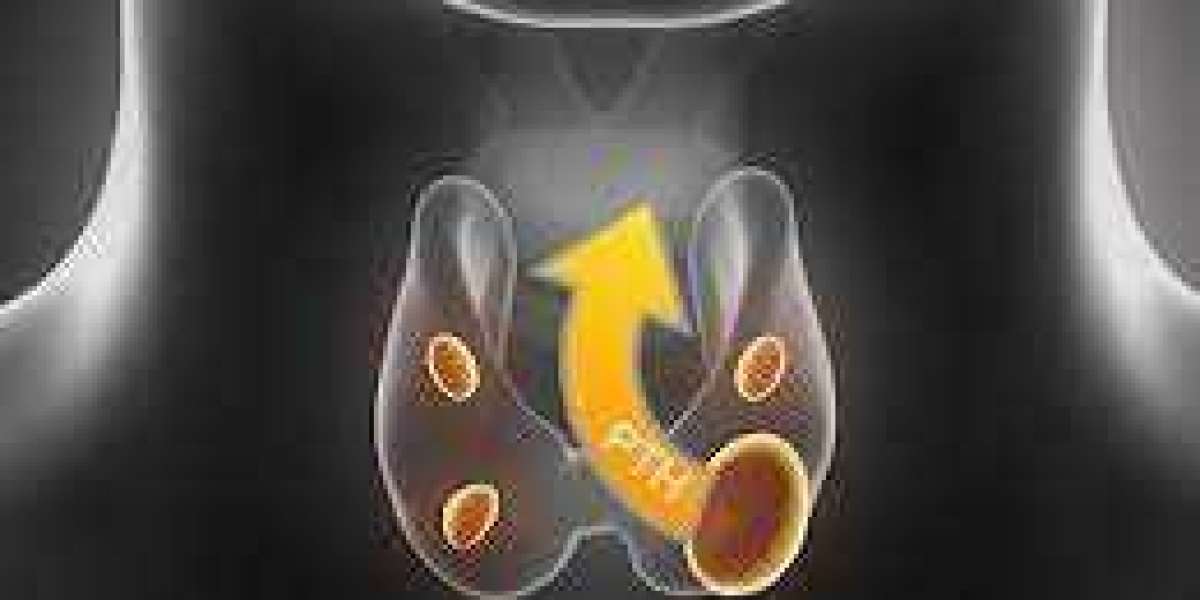 Hypoparathyroidism Treatment Market Size, Unleashing Growth Potential and Outlook for 2024-2032