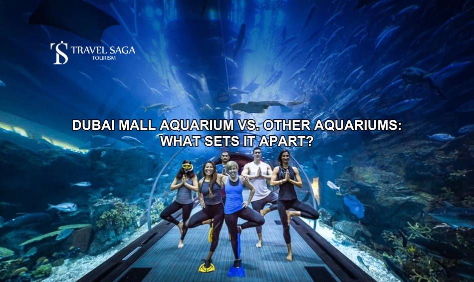 Dubai Mall Aquarium vs. Other Aquariums: What Sets It Apart? | Zupyak