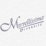 MARVELLÍSSIMA INTERNATIONAL LTD