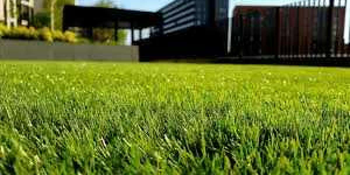 Best Lawn Care Calgary: Expert Services for a Healthier, Greener Lawn