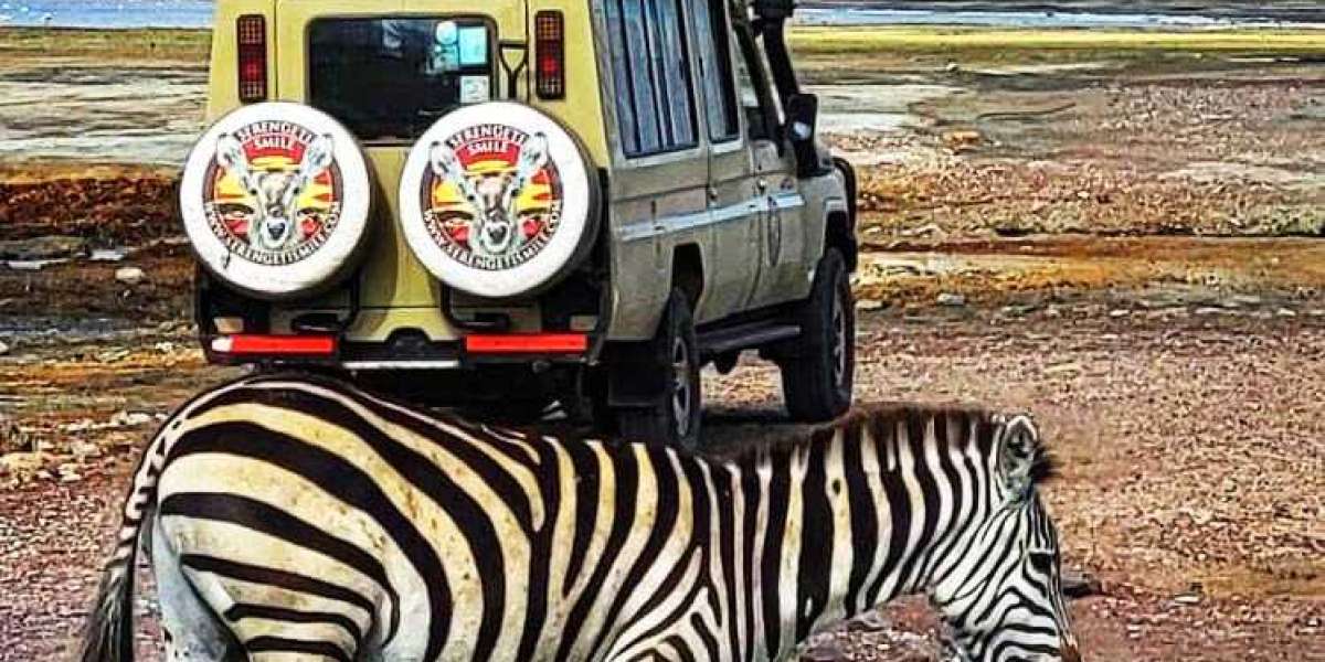 Discover the Best Tanzania Safari Companies for Private and Memorable Tours