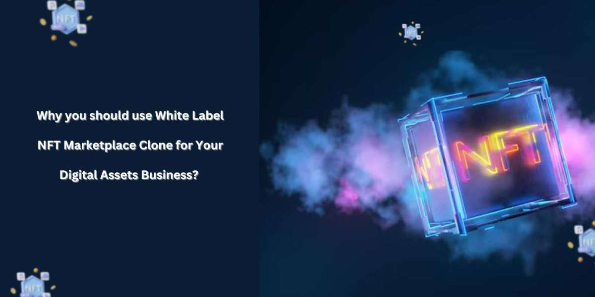 Why you should use White Label NFT Marketplace Clone for Your Digital Assets Business?