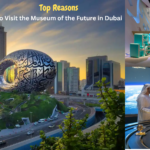 Museum Of The Future In Dubai: Explore the World of 2071