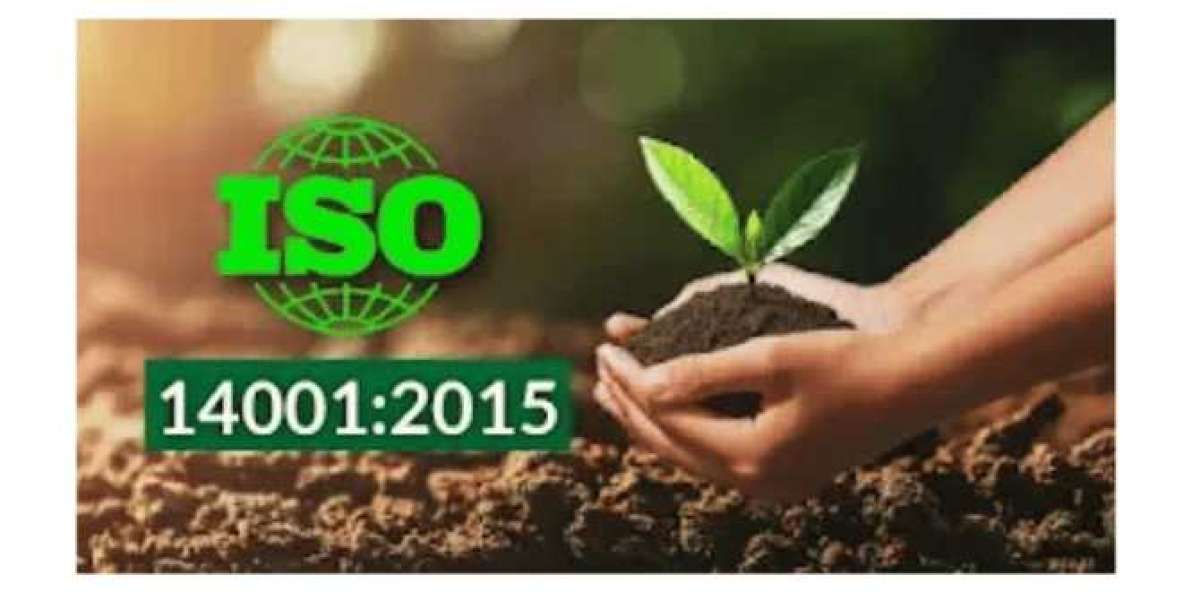 ISO 14001 Environment Administration Framework Standard Certification in Nepal