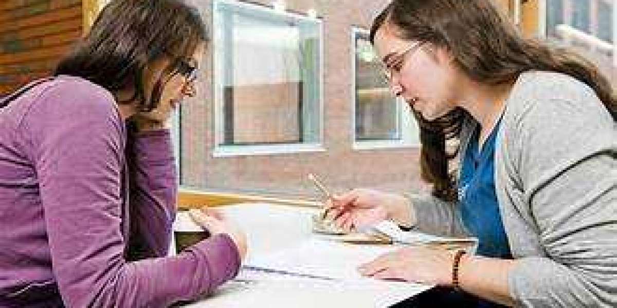 Why Smart Students Rely on Essay Writing Experts for Academic Excellence