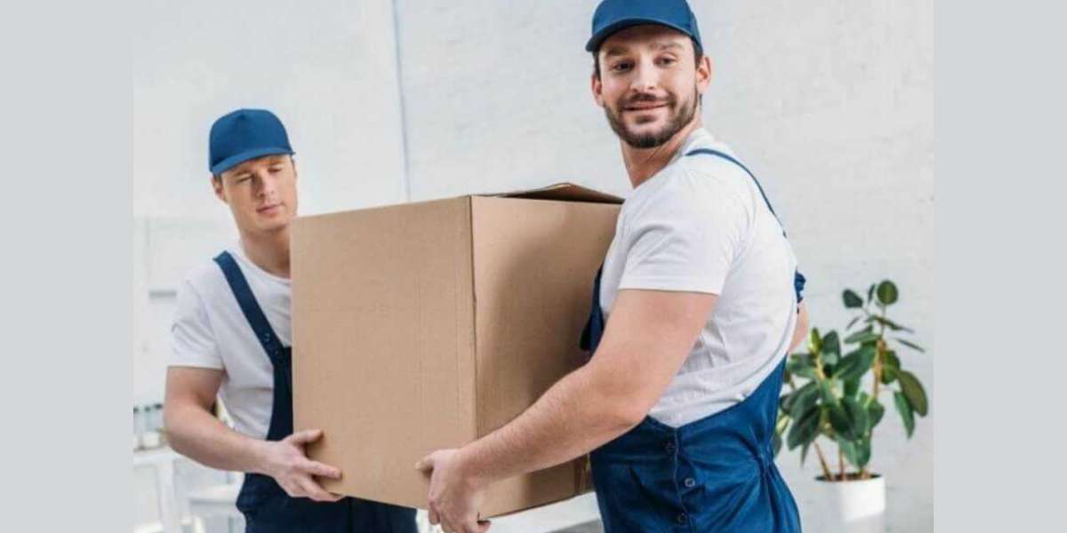 Auckland removalists - your ultimate guide to finding the right movers for your move