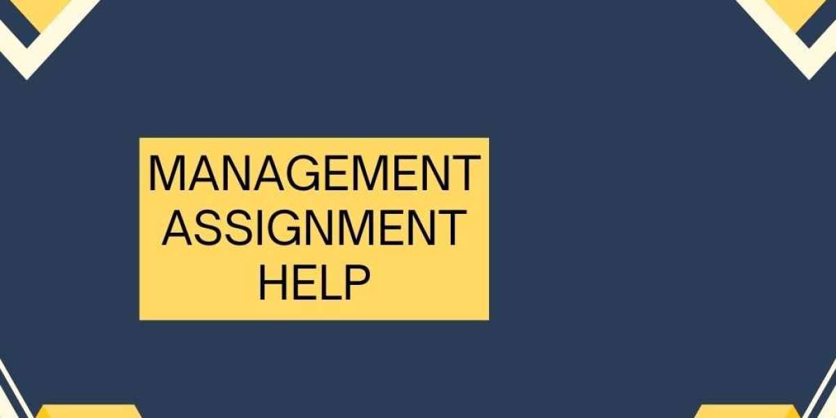 Top-Rated Marketing Assignment Help: