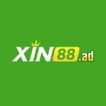 Xin88