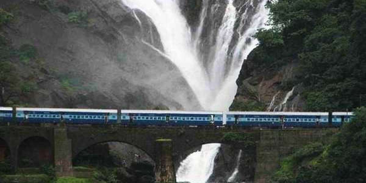 Dudhsagar Falls Trek: Highlights & Nearby Attractions