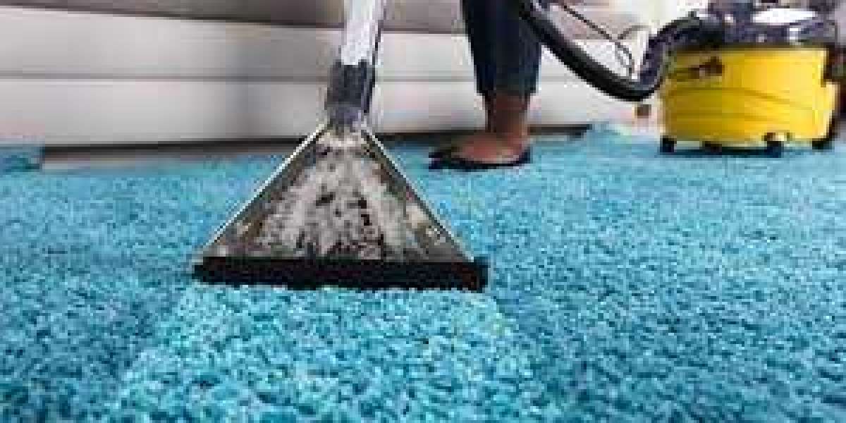 Maximize Indoor Comfort with Regular Carpet Cleaning