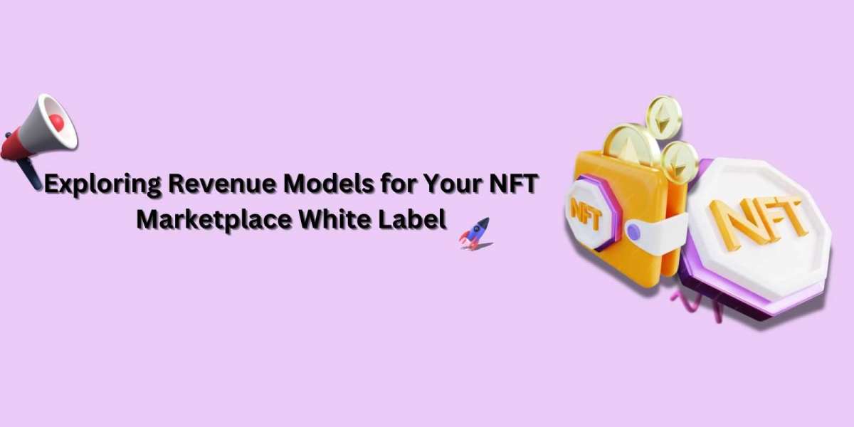 Exploring Revenue Models for Your NFT Marketplace White Label