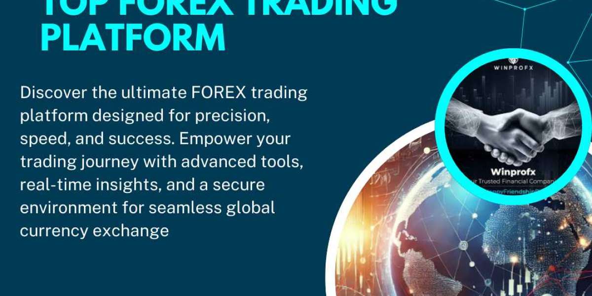 Top Forex Trading Platform