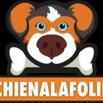 chienala folie