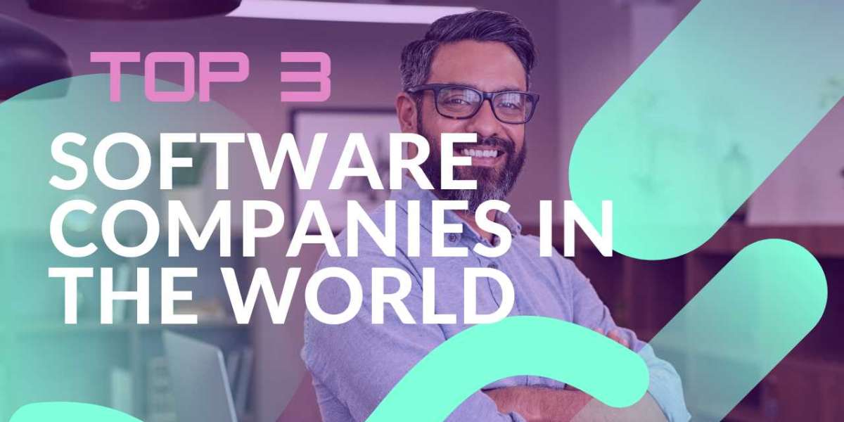 Top 3 Software Companies in the World in 2025