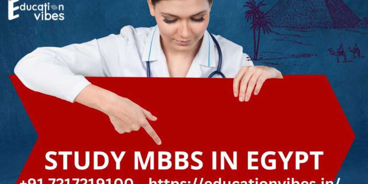 How much does it cost to study MBBS in Egypt?