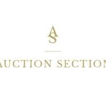 Auction Section