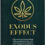 Exodus Effect