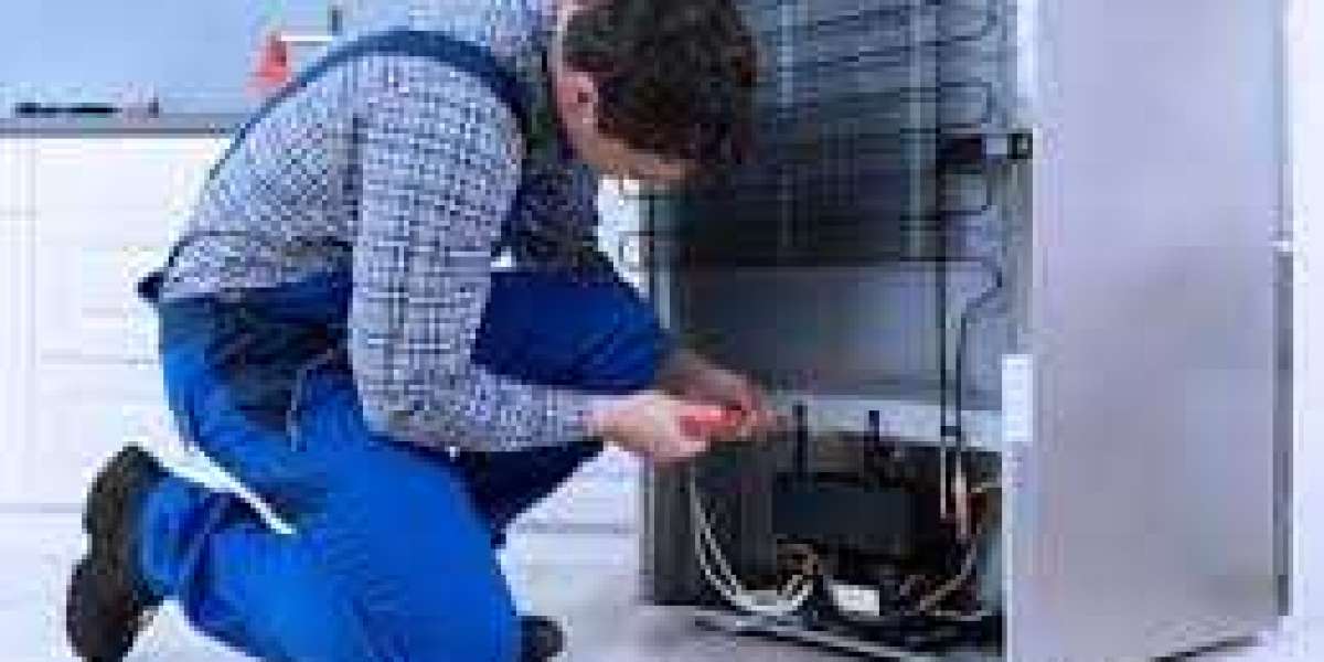 The Ultimate Guide to LG Freezer Maintenance and Repairs