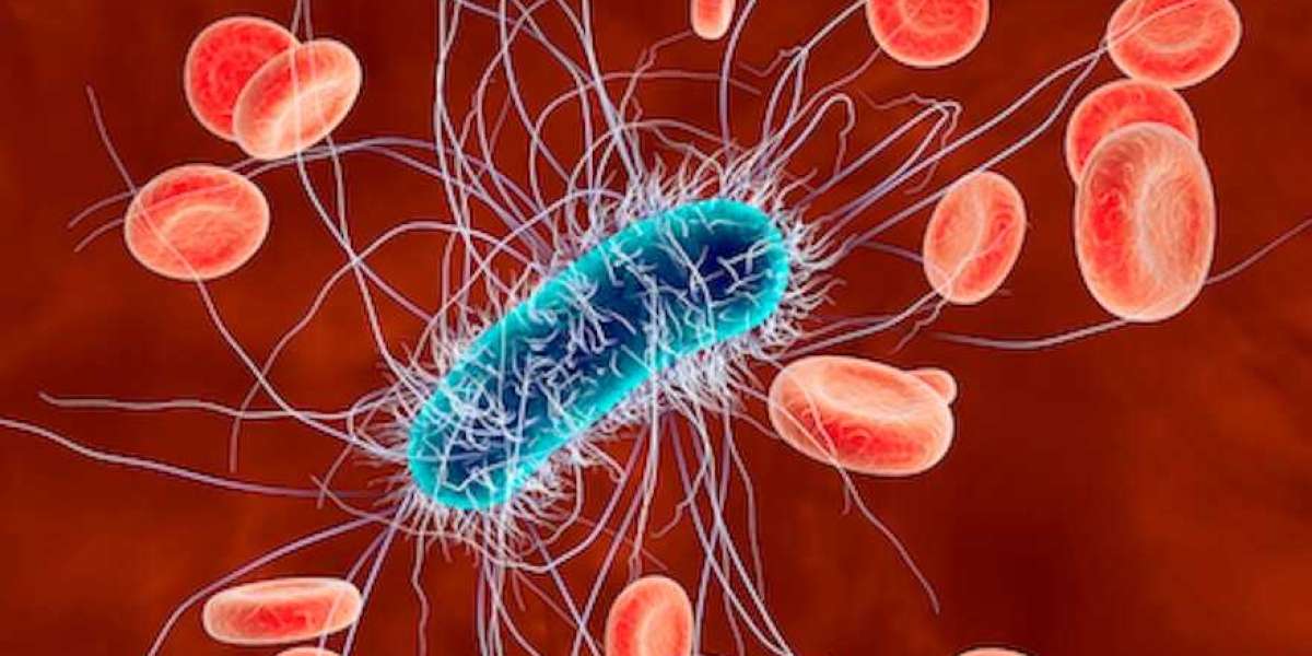 Global Antimicrobial Therapeutics Market Size, Share, Trends, Market Report and Forecast 2025-2034