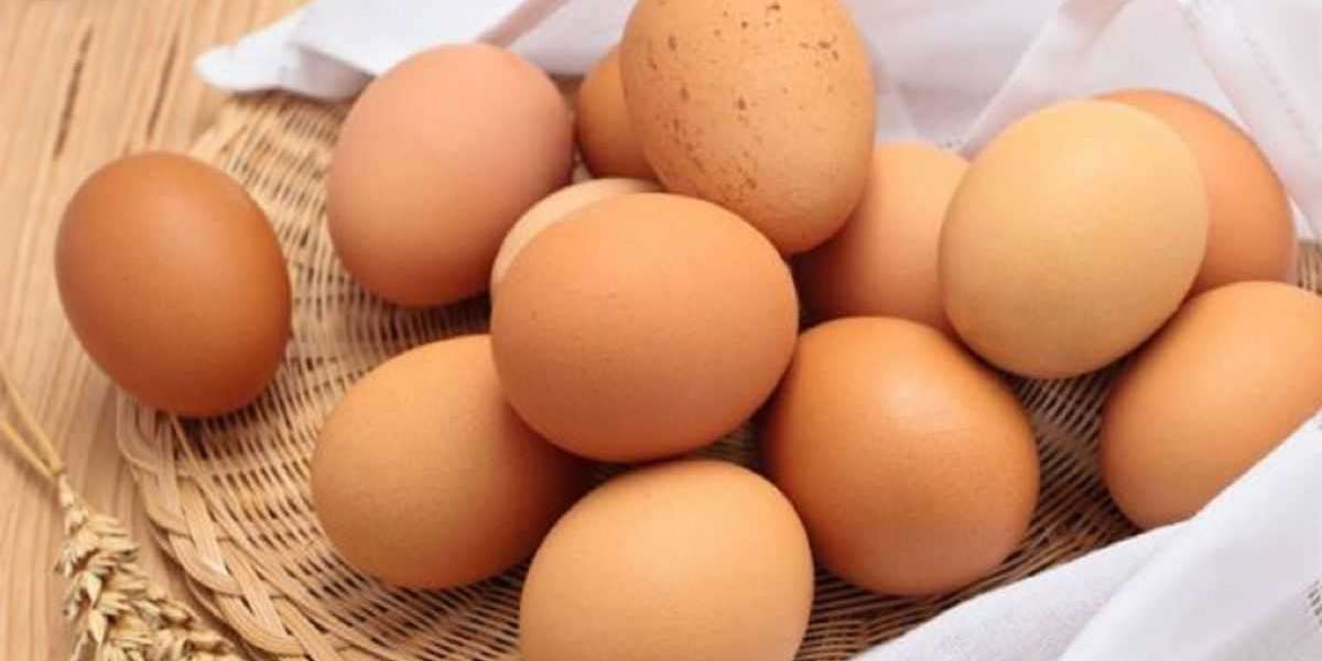 Australia Egg Market: A Staple for Health and Nutrition