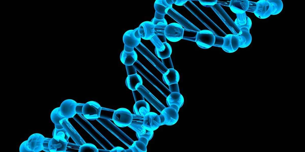 The Economic Potential of the DNA Data Storage Market