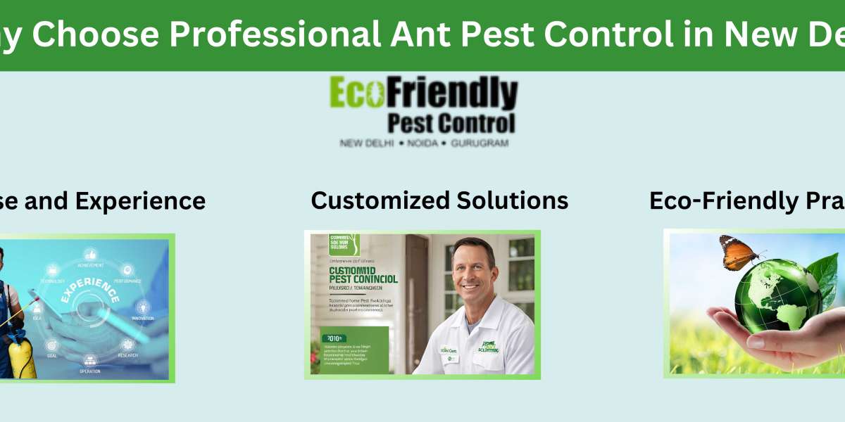 Bed Bug Pest Control in Ghaziabad