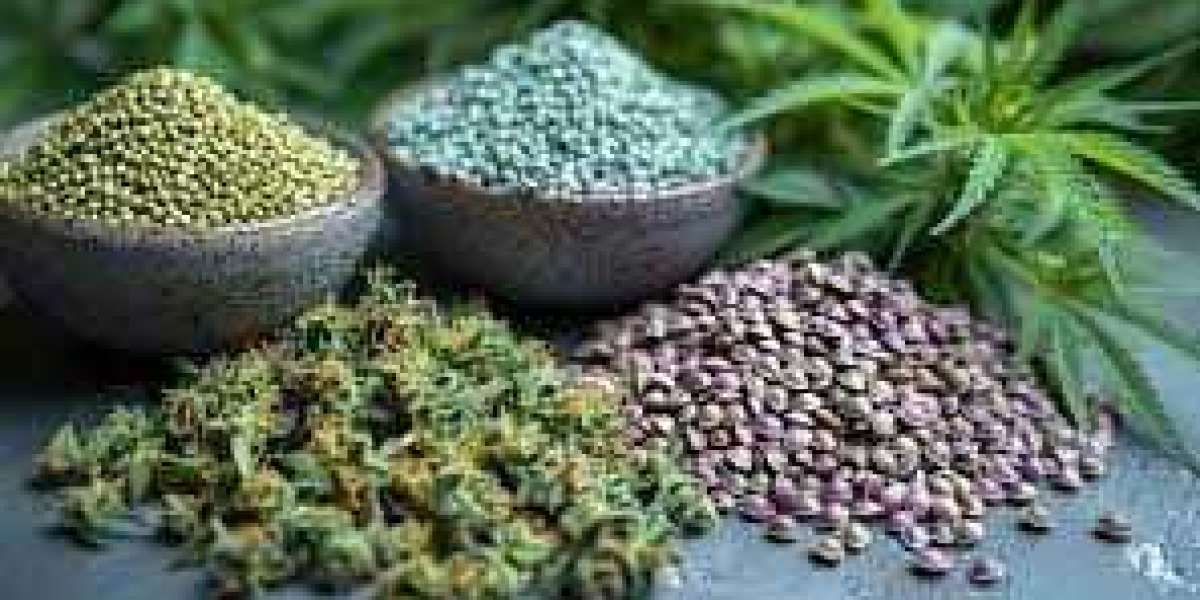 Cannabis Seeds Near Me: Discover Local Options for Top-Tier Strains