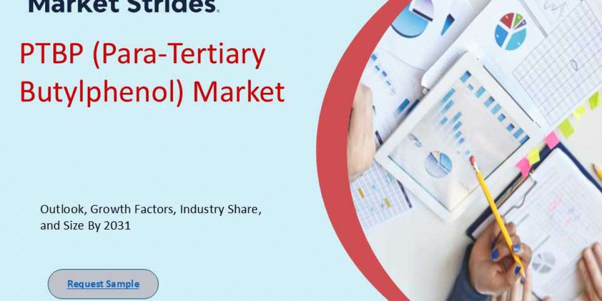 PTBP (Para-Tertiary Butylphenol) Market Outlook and Industry Growth Forecast to 2033