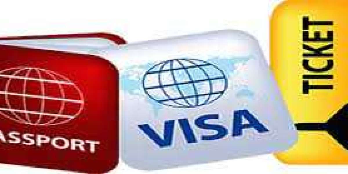 Top Visa Consultants in Delhi for Stress-Free Travel